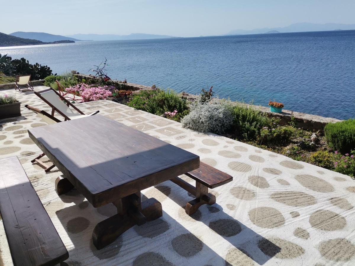Almyra Seaside Villa Perdika  Exteriör bild