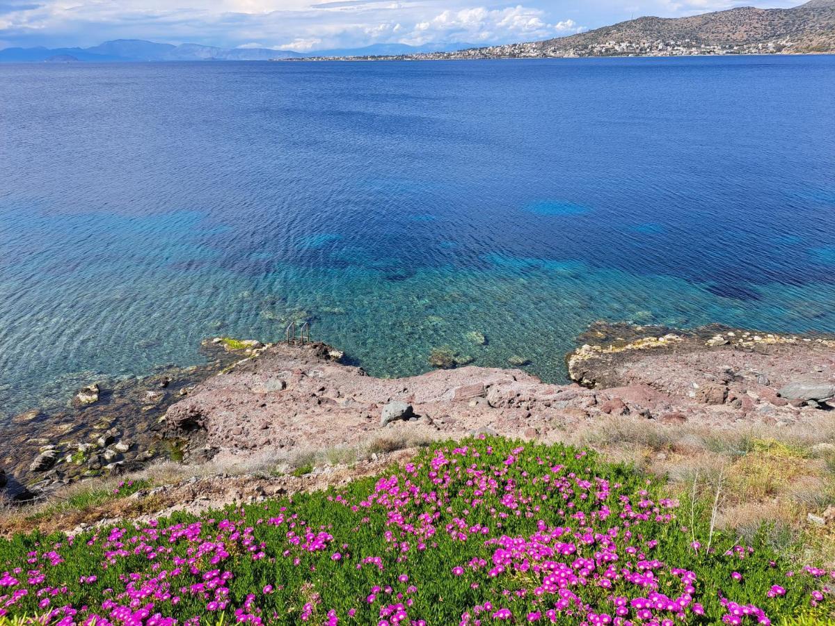 Almyra Seaside Villa Perdika  Exteriör bild